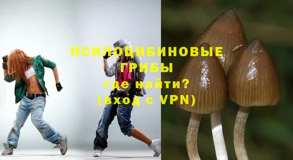 гашик Горно-Алтайск
