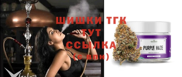 амф Володарск