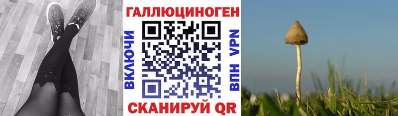 блэк спрут зеркало  купить наркотики сайты  Железноводск  Псилоцибиновые грибы GOLDEN TEACHER 